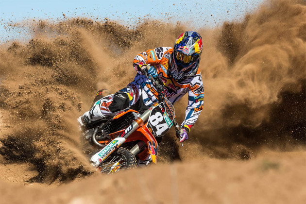 Herlings sand training